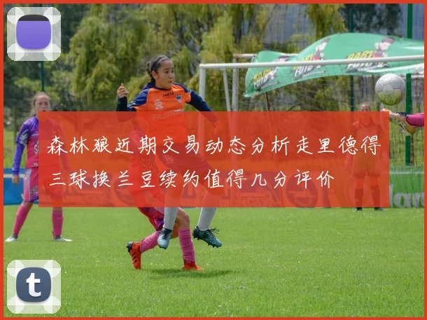 森林狼近期交易动态分析走里德得三球换兰豆续约值得几分评价