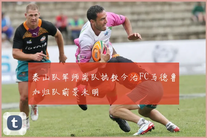 泰山队军师离队执教今治FC马德鲁加归队前景未明